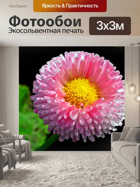 Фотообои Дейзи