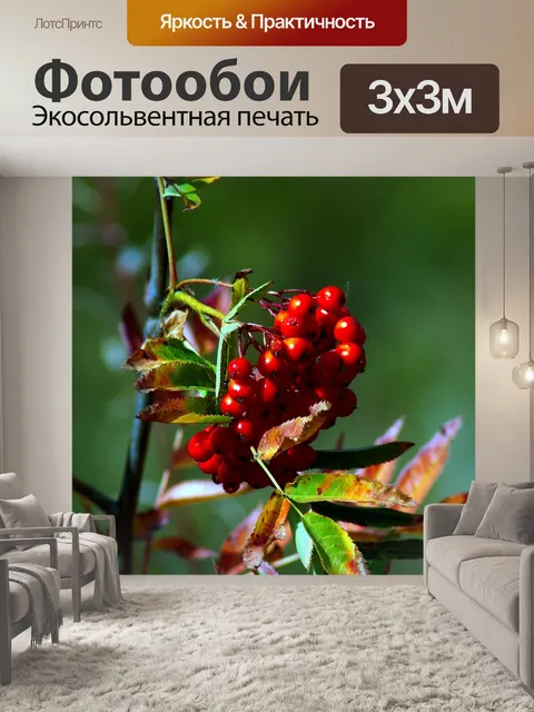 Фотообои Красных лесных ягод рябины