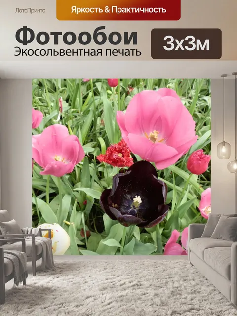 Фотообои Тюльпаны