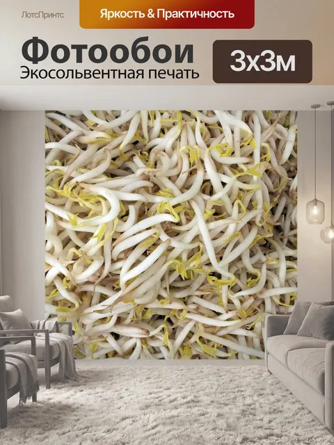 Фотообои зеленая фасоль почки