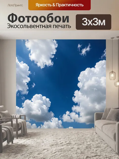 300 × 300 см · Экосольвентная печать