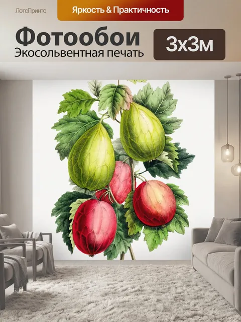 Фотообои Плоды крыжовника фруктовое искусство