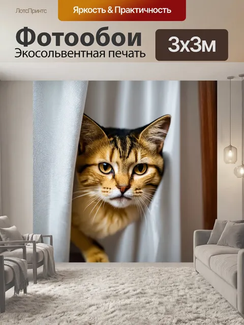 Фотообои кот, игриво прячущийся за занавеской