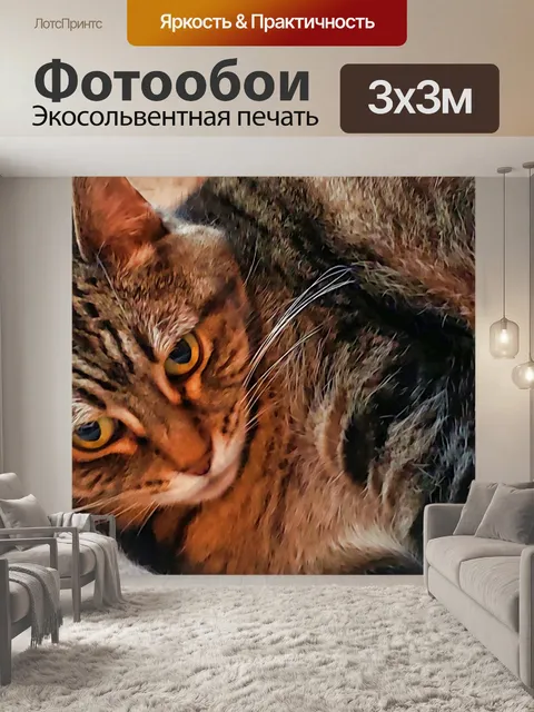 Фотообои полосатый кот
