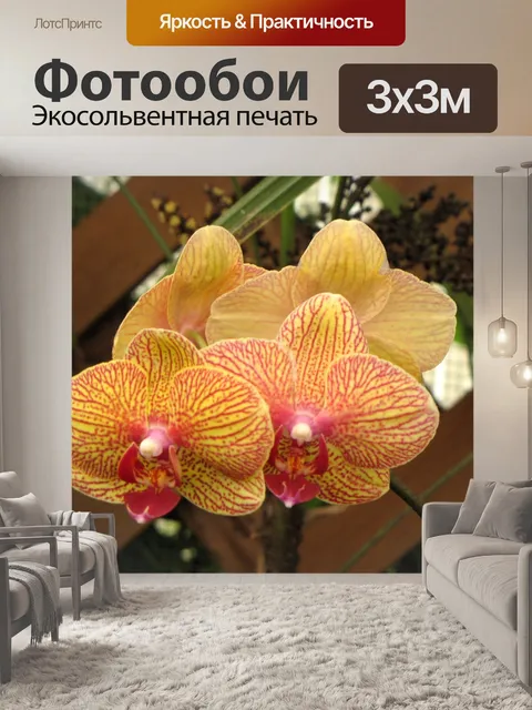 Фотообои Цветочный садик