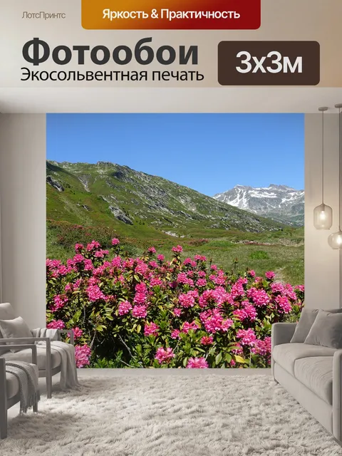 Фотообои Альпийская роза