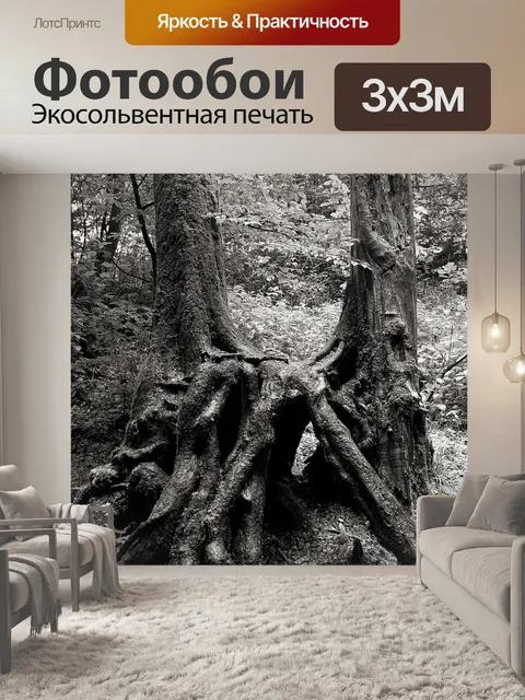 Фотообои Черно-белый