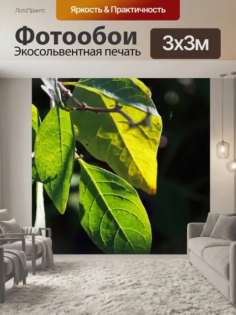 Фотообои солнечный свет на зеленых листьях на вет