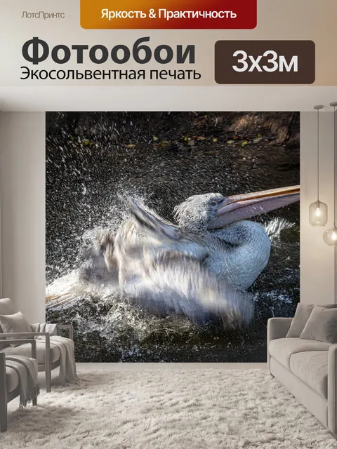 Фотообои Пеликан