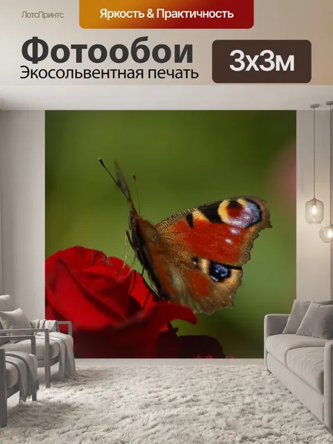 Фотообои Бабочка