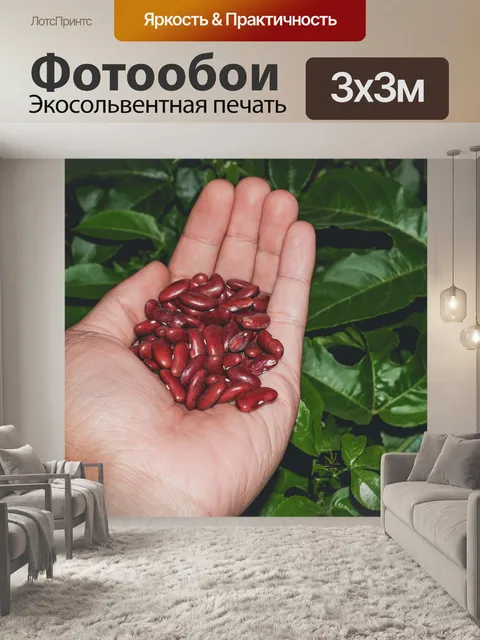 Фотообои Красные бобы