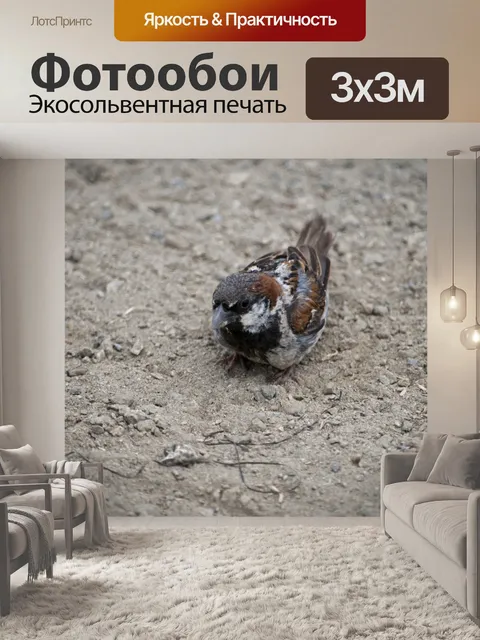 Фотообои Воробей
