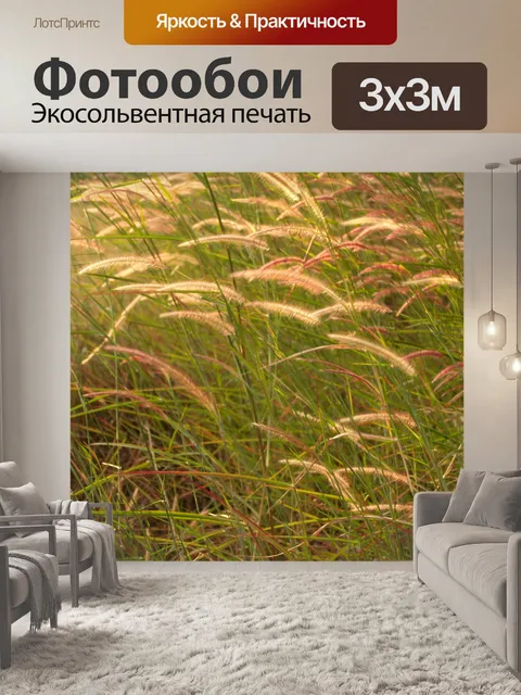 Фотообои Цветки одичалые Стоковая Фотография