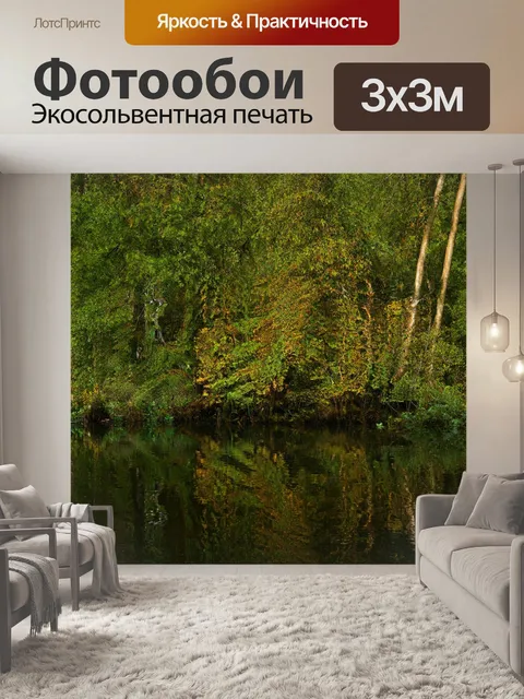 Фотообои лес с отражением полных деревьев в спокойной воде