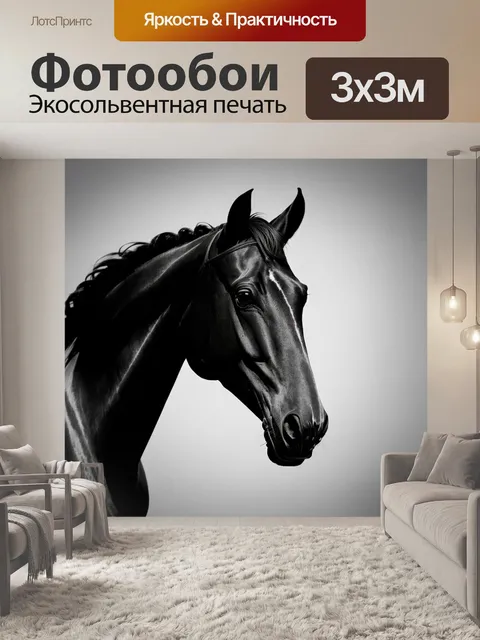 Фотообои минималистичное изображение аравийской лошади