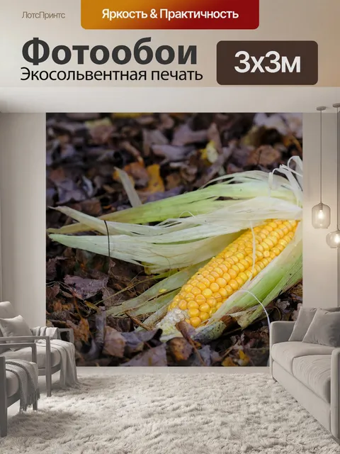 Фотообои Кукуруза