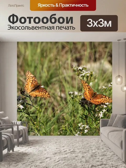 Фотообои Пестрые бабочки рябчика