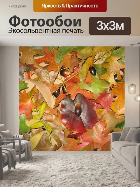 Фотообои Осенние листья