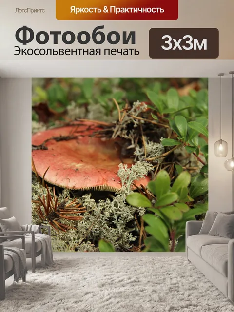Фотообои Дикий гриб