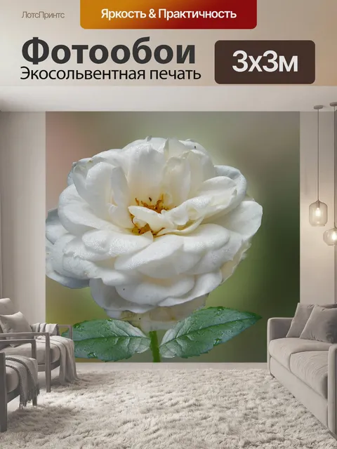 Фотообои Роза