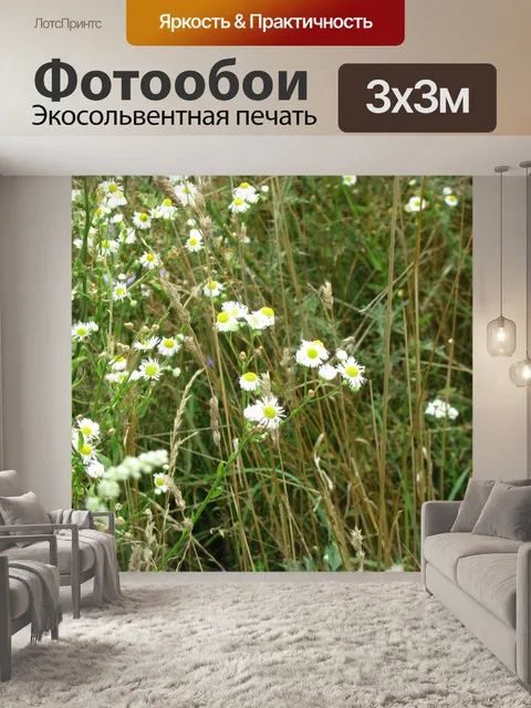 Фотообои Ромашка