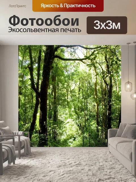 Фотообои Природа тропический лес дои Интанон наци