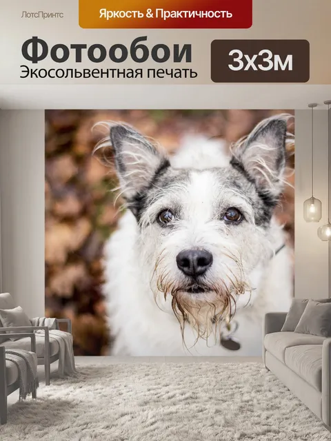 Фотообои Собака