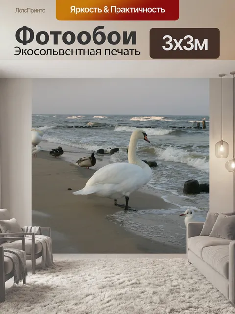 Фотообои Морские птицы 2