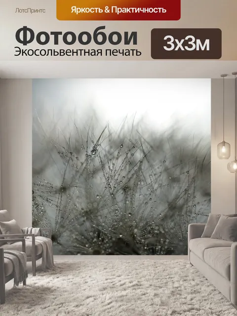 Фотообои Одуванчик