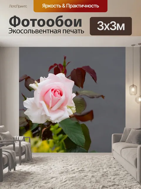 Фотообои Розовые розы