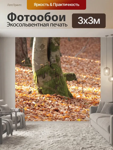 Фотообои Осенний лес
