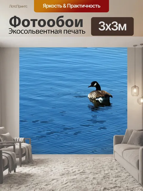 Фотообои Гусь