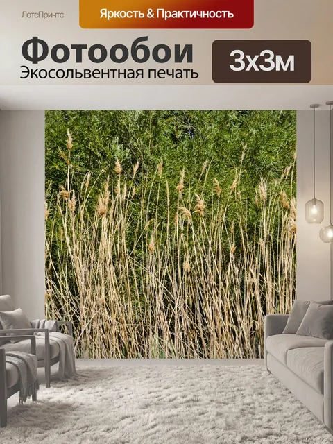 Фотообои Высокий фон травы