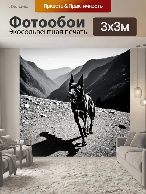 Фотообои бельгийская овчарка малинуа, стремительно бегущая по горной местности с завораживающим видом на долину
