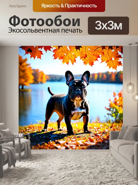 Фотообои французский бульдог, стоящий на берегу озера в осенний день, с яркой листвой вокруг, выполненный в стиле…
