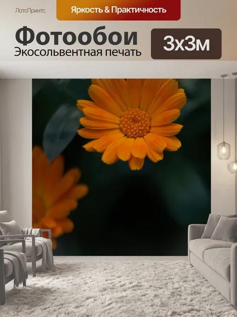 Фотообои Цветы