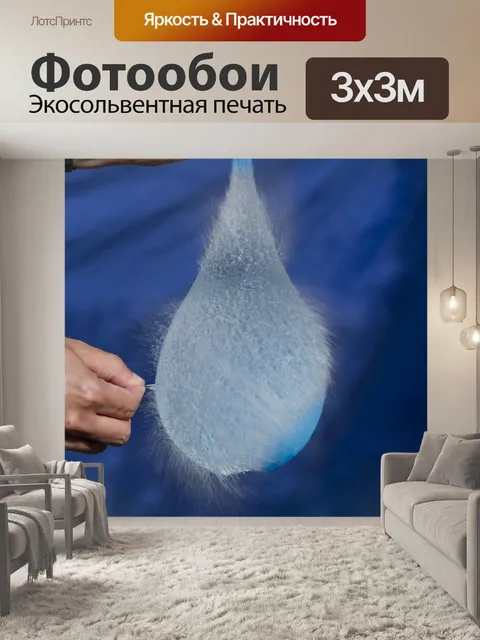 Фотообои Воздушный шар