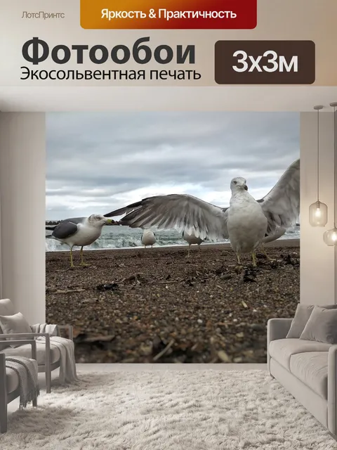 Фотообои Небо