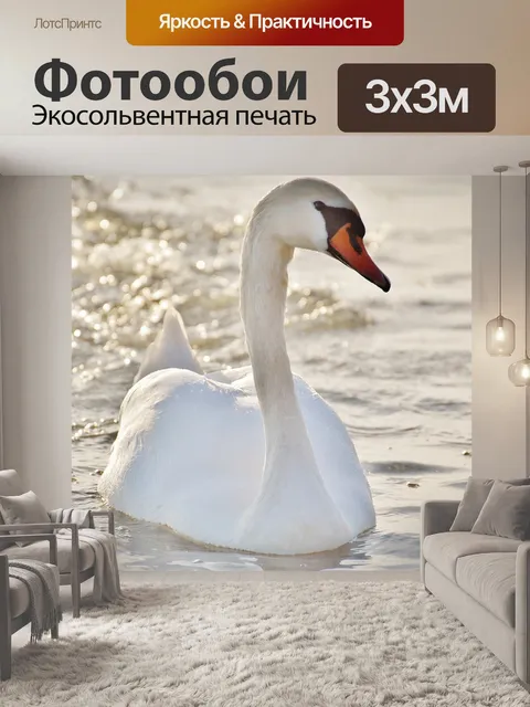 Фотообои Лебедь
