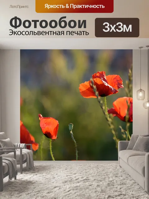 Фотообои Красный букет маков