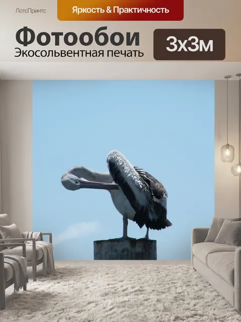 Фотообои Пеликан