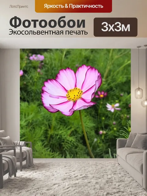 Фотообои Цветы