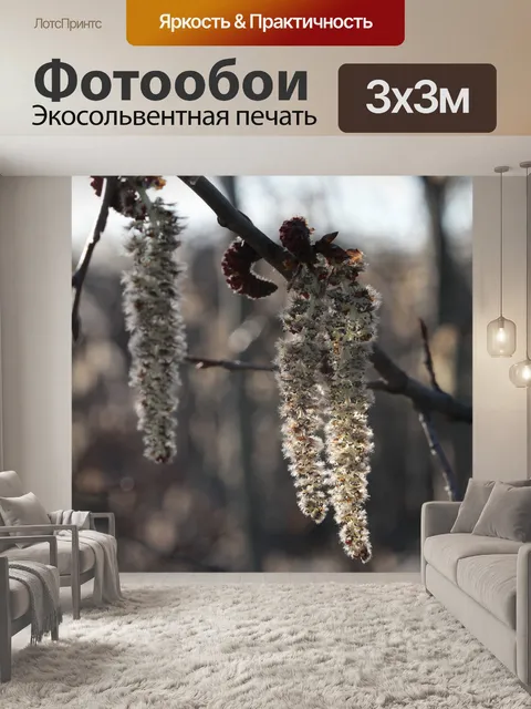 Фотообои Весна