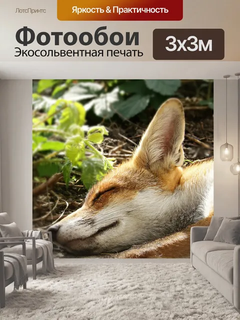 Фотообои Лиса