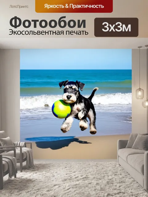 Фотообои цвергшнауцер играет с мячом на пляже, окаймленный морскими волнами