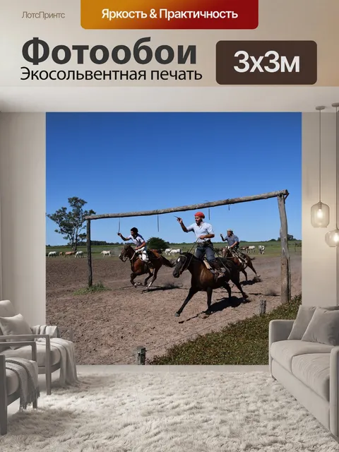 Фотообои Аргентина