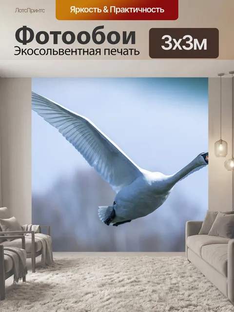 Фотообои Лебедь