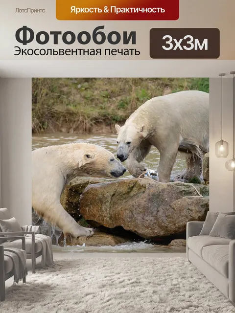Фотообои Полярный медведь