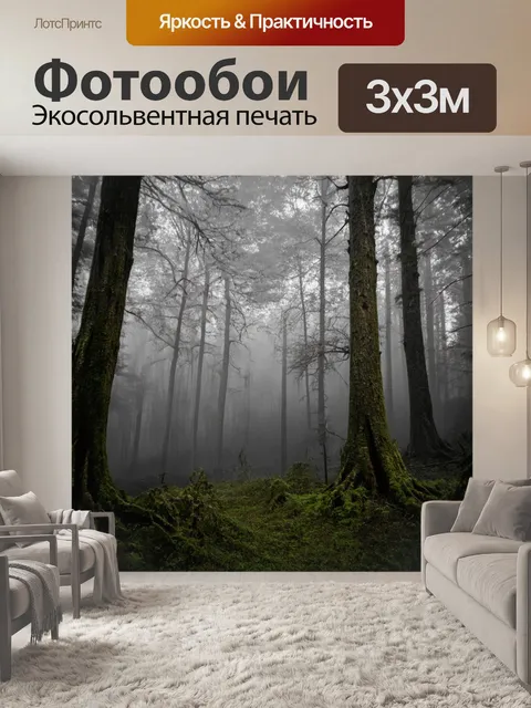 Фотообои серый мрачный лес с туманом и старыми деревьями, создающими таинственную атмосферу