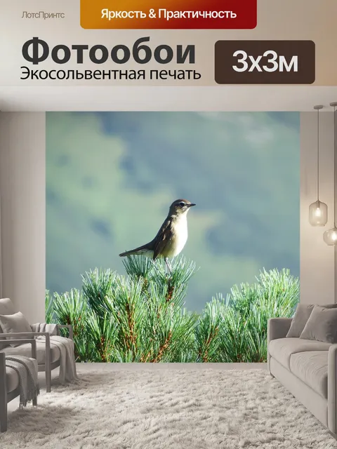 Фотообои Птица